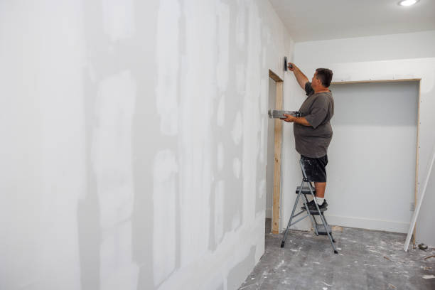 Best Asbestos and Lead Testing During Mold Inspection  in East Peoria, IL