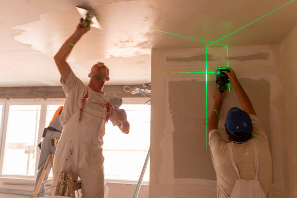 Best Basement Mold Removal  in East Peoria, IL
