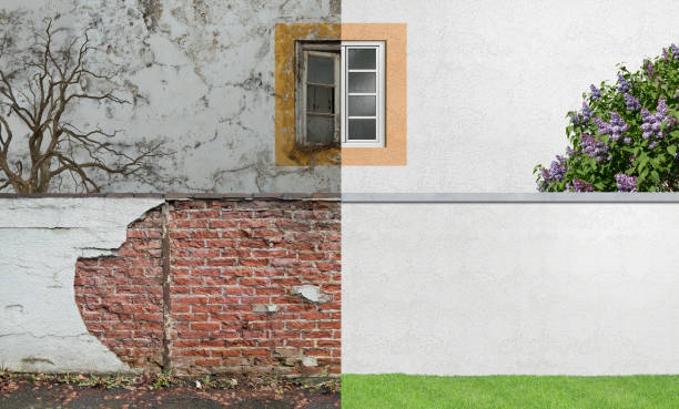 Best Environmental Consulting for Mold Prevention  in East Peoria, IL