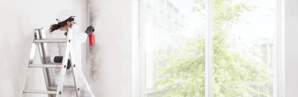 Best Biohazard Mold Removal  in East Peoria, IL