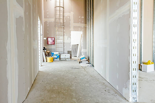 Best Residential Mold Inspection & Testing  in East Peoria, IL