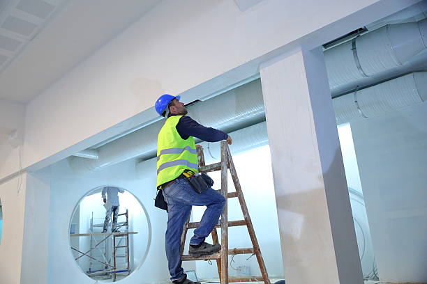 Best Black Mold Removal  in East Peoria, IL