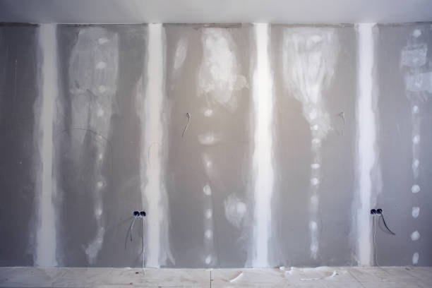 Best Emergency Mold Remediation  in East Peoria, IL